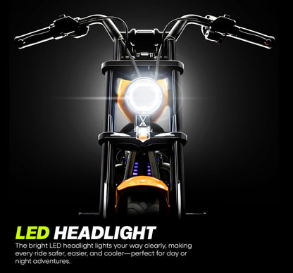 XENOVA MiniMoto